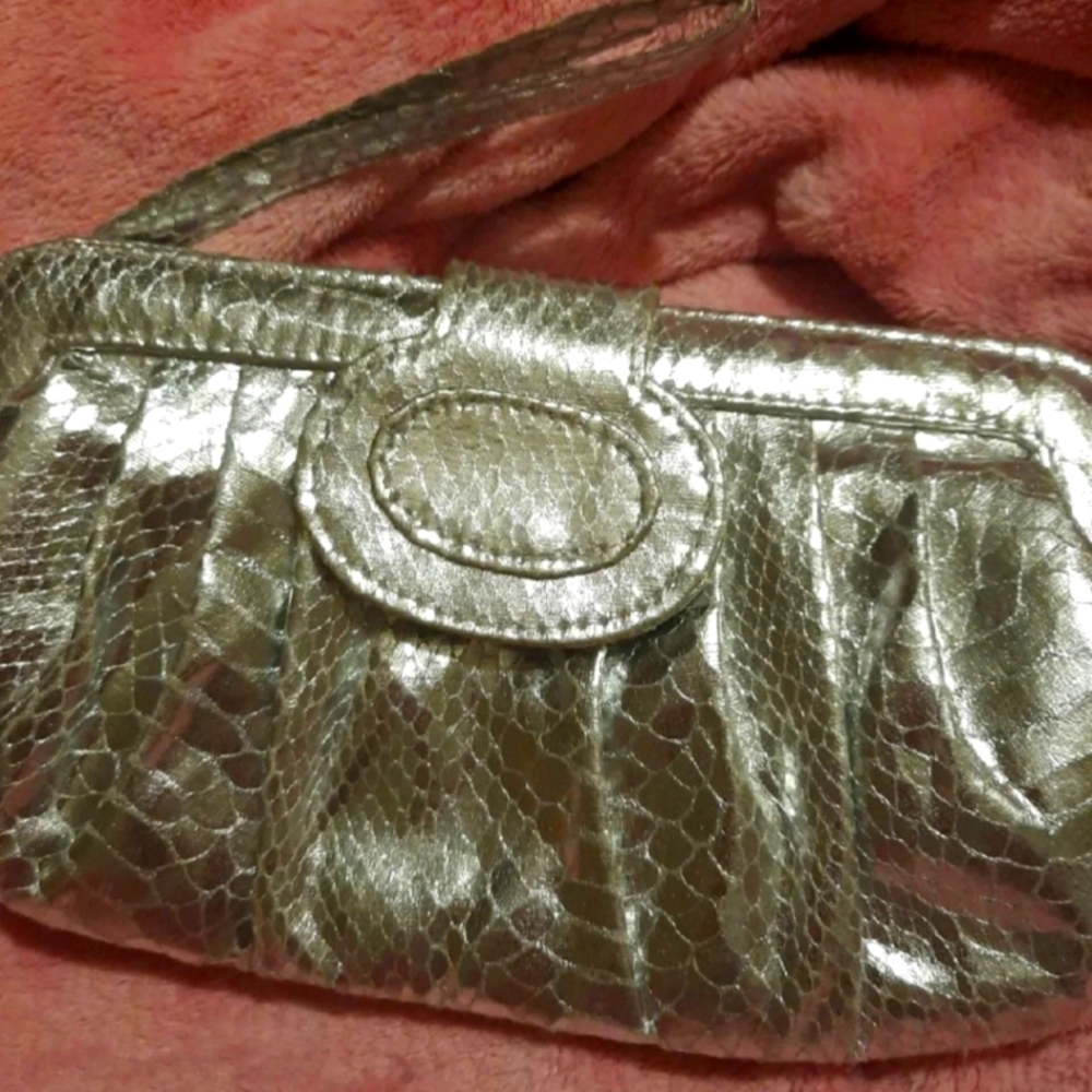 Silver Wrist Clutch